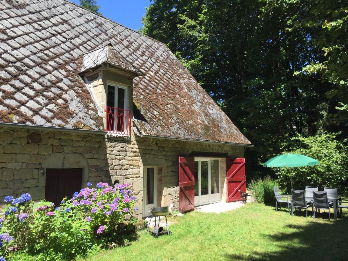 Gites Chateau Le Bois Saint-Julien-aux-Bois Dış mekan fotoğraf