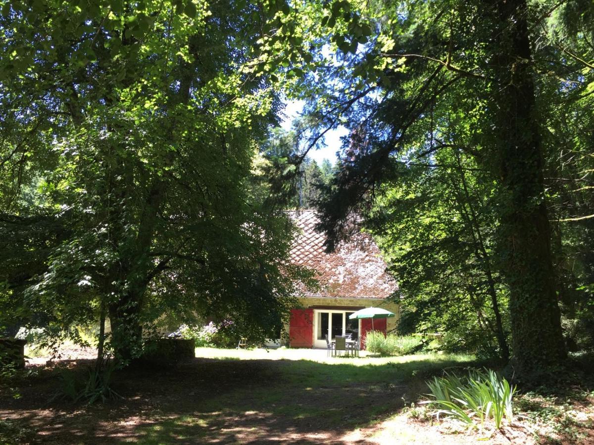 Gites Chateau Le Bois Saint-Julien-aux-Bois Dış mekan fotoğraf