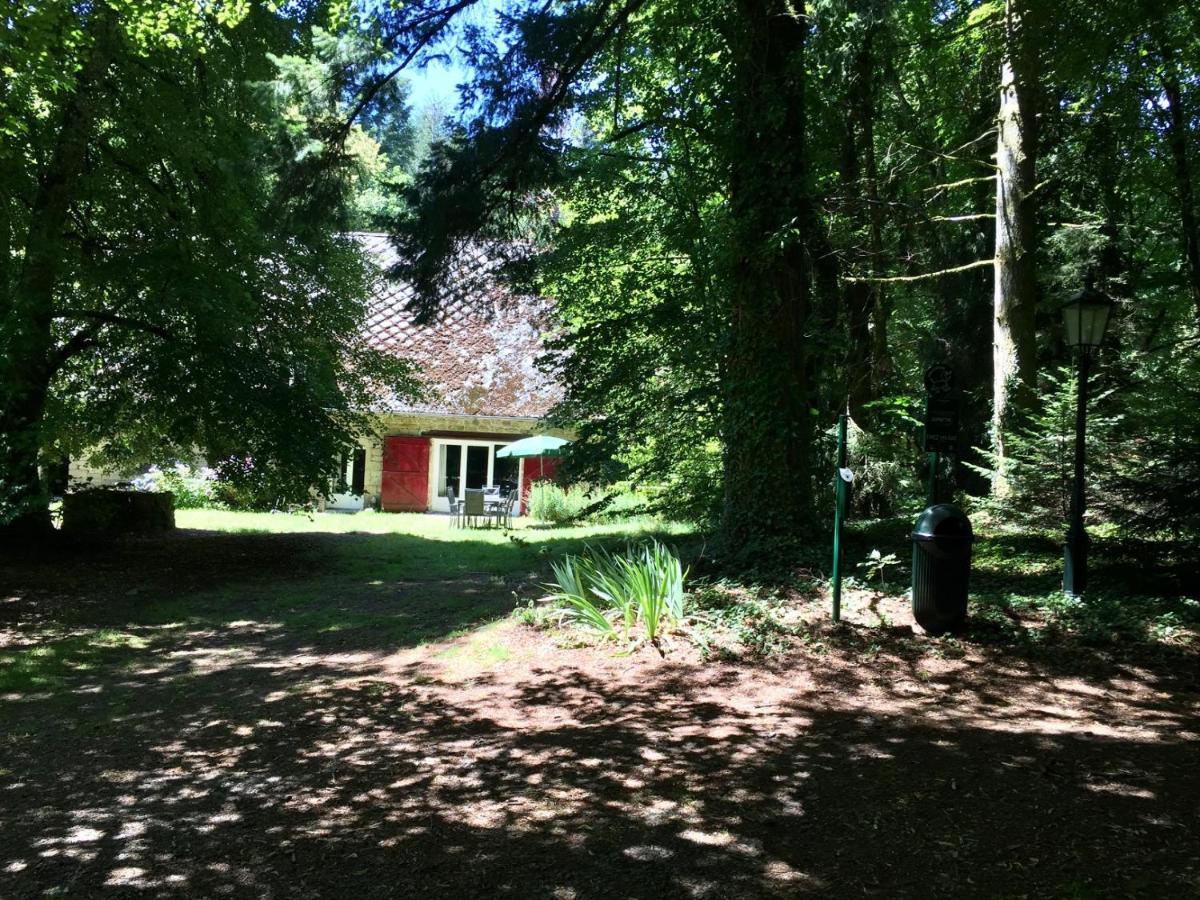 Gites Chateau Le Bois Saint-Julien-aux-Bois Dış mekan fotoğraf