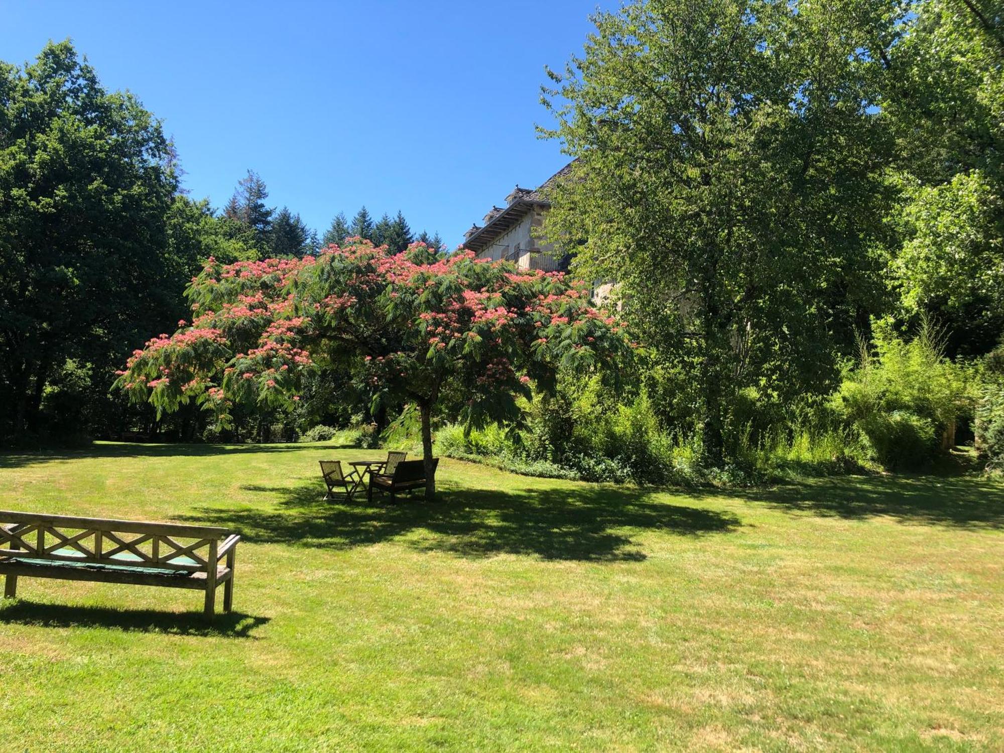 Gites Chateau Le Bois Saint-Julien-aux-Bois Dış mekan fotoğraf