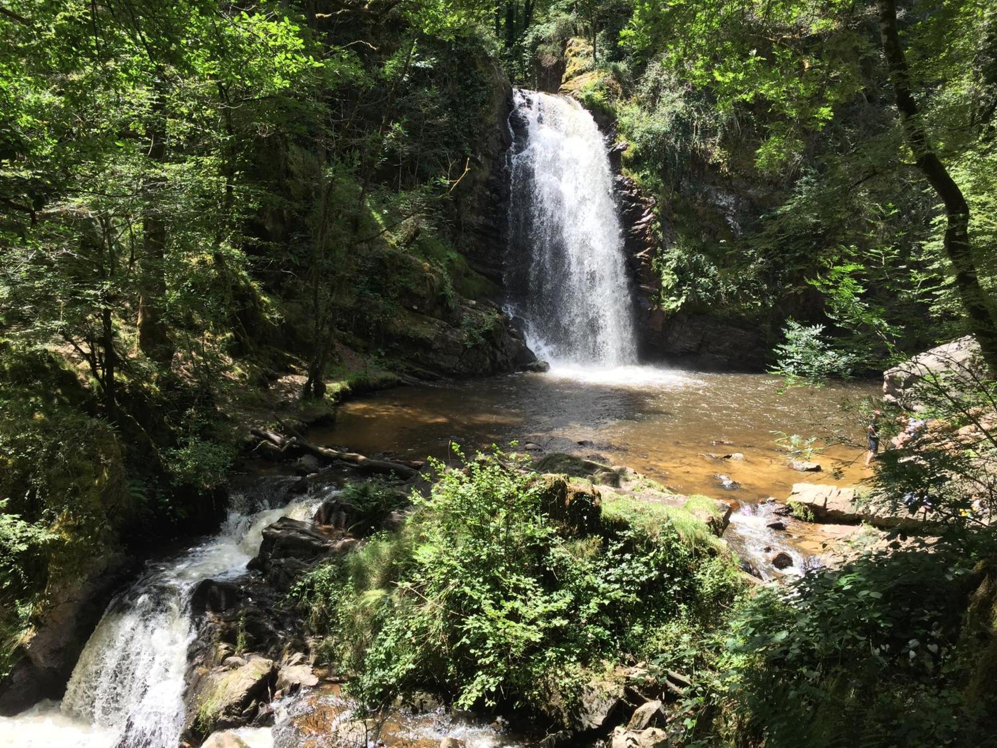 Gites Chateau Le Bois Saint-Julien-aux-Bois Dış mekan fotoğraf