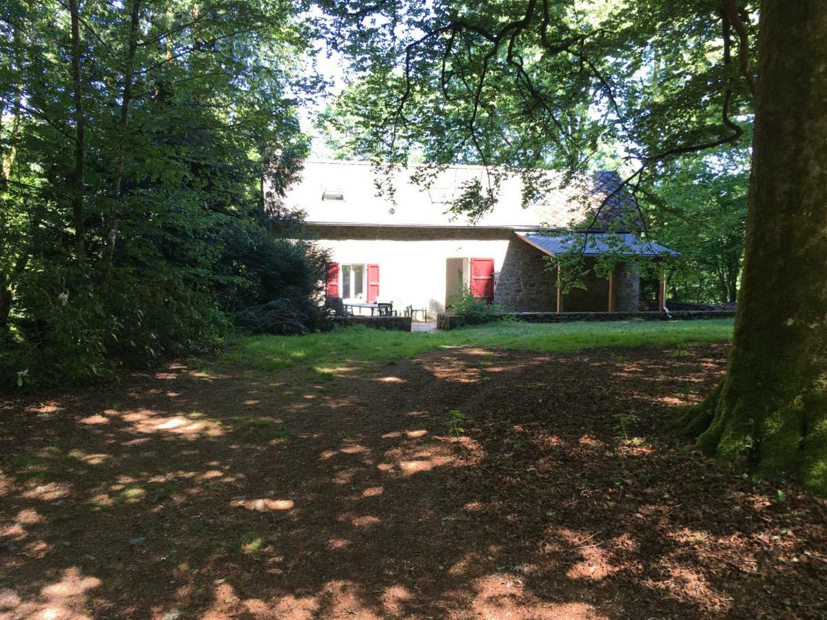 Gites Chateau Le Bois Saint-Julien-aux-Bois Dış mekan fotoğraf