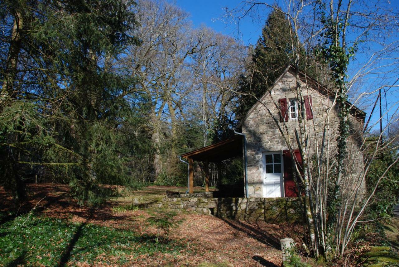 Gites Chateau Le Bois Saint-Julien-aux-Bois Dış mekan fotoğraf